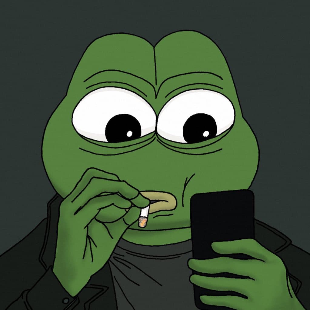 Checking the feed