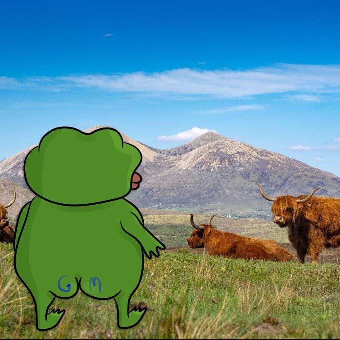 GM from the Highlands